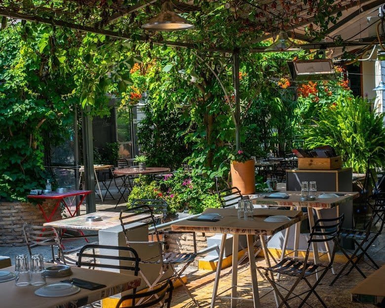 Tables and bentwood chairs in a leafy Athens courtyard, shaded by a mature tree.