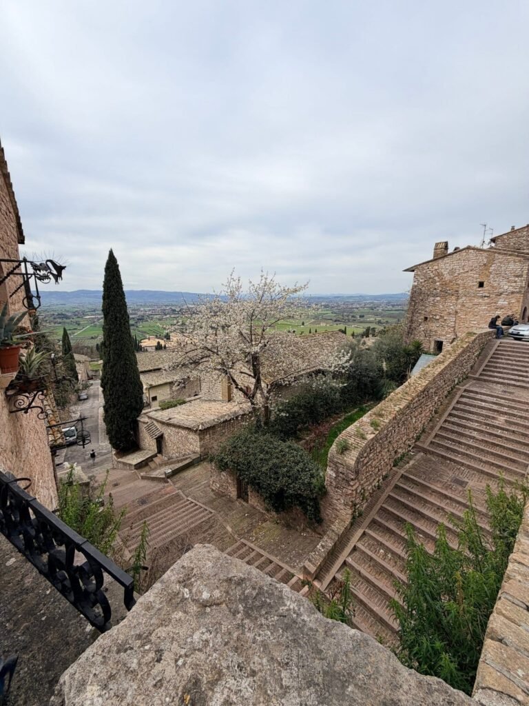 The stepped approach to a hilltop village, with cypresses and a stone parapet against a grey sky.
