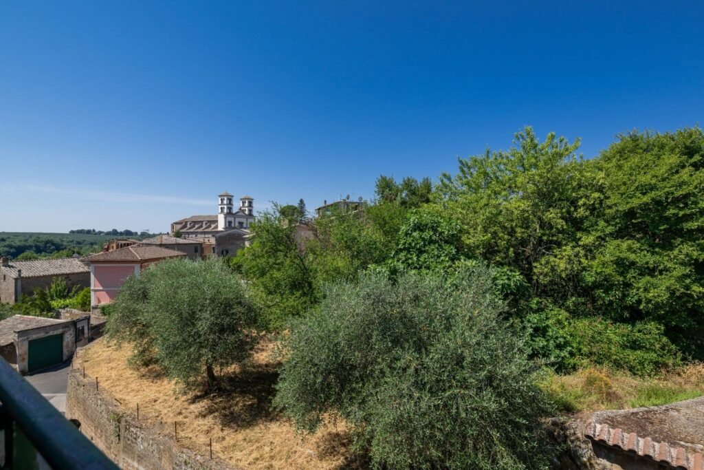 Olive trees and scrub oak falling away below the villa, with hills stretching to the horizon under an open sky.